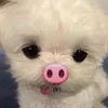 koemibun