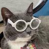 sunglasscat