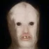 frothy_slothy