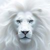 eddbeast7