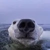 stephanierichner_