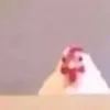 nixo_lstr