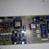 doglan12