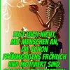 der_boese_bear