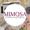 mimosa_indumentaria_