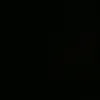 ipo_zir