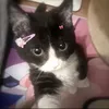 brianalope3