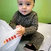 nelala_bdl