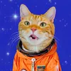 宇宙猫咪