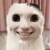 farty.b