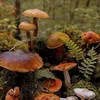 fabledfungi
