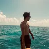 raypalominod