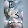 eco_stars_ec1
