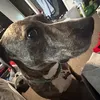 caitlyn7313