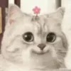 elireji0