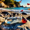 farukahmed7