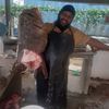 markfishdepot