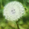 clurbrazz