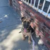 ellathegerman.04