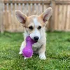 corgirupert1