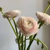 aa.3018