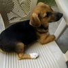 magaly_cede0
