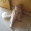staringinyourface