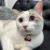 bomeomeoww