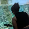 shesleymusic