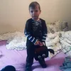 nicolaeenache1