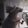__idkk__