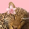 mariamgr01