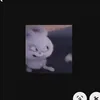 fluffi.bunny