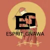 Esprit_gnawa
