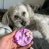 brielletoy