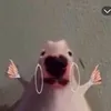morrggz00