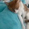 notsoordinary_
