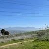 paolxnez