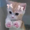 angxlxnaaa