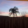 ittybittykittycommittee5