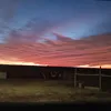 silvia_bar1