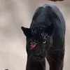 gheeup_f_t_o