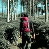 alrizmaulana_