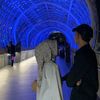 _.hakimisani