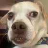 rubyjlinfitt