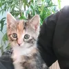 pompudompidom