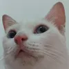 rizelleallysa