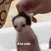 maiacaballero