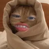 qwertyel_