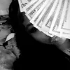 sexxyyarriess